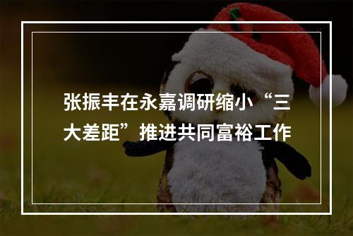 张振丰在永嘉调研缩小“三大差距”推进共同富裕工作