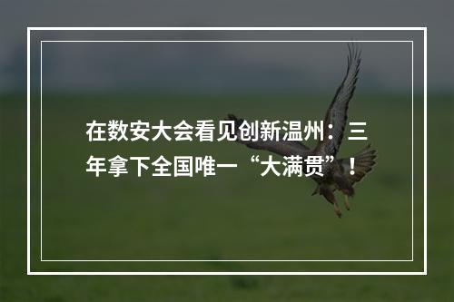 在数安大会看见创新温州：三年拿下全国唯一“大满贯”！