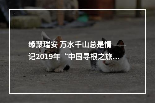 缘聚瑞安 万水千山总是情 ——记2019年“中国寻根之旅”夏令营“相约温州营”瑞安分营高楼活动