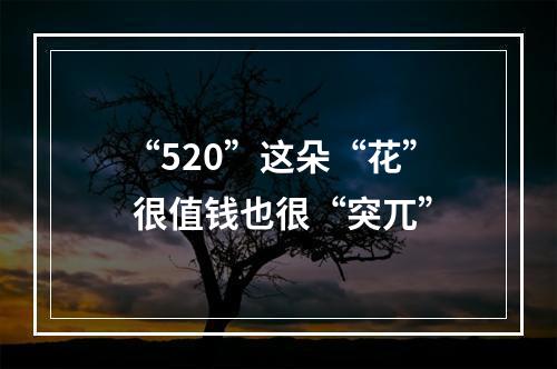 “520”这朵“花” 很值钱也很“突兀”