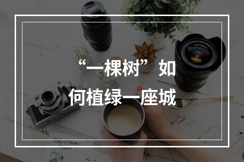 “一棵树”如何植绿一座城