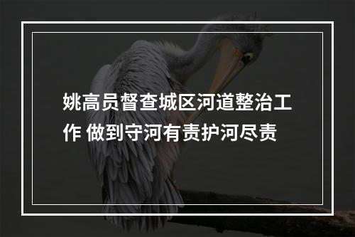 姚高员督查城区河道整治工作 做到守河有责护河尽责