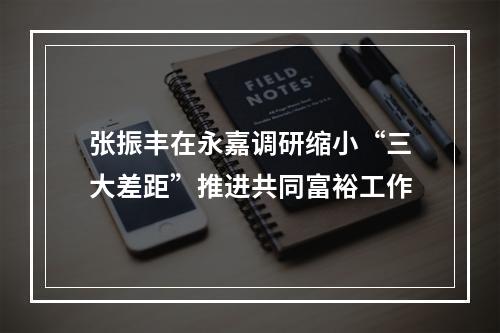 张振丰在永嘉调研缩小“三大差距”推进共同富裕工作