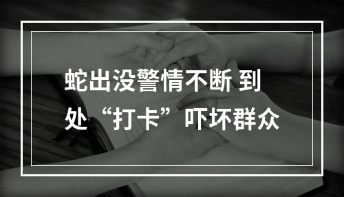 蛇出没警情不断 到处“打卡”吓坏群众