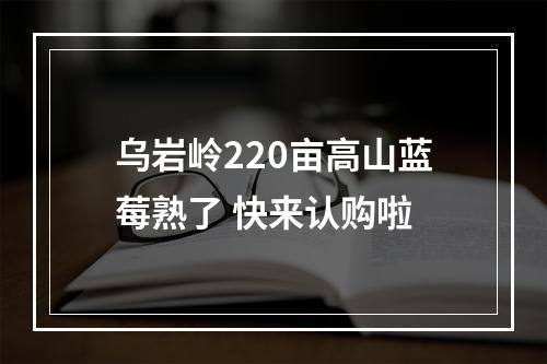 乌岩岭220亩高山蓝莓熟了 快来认购啦
