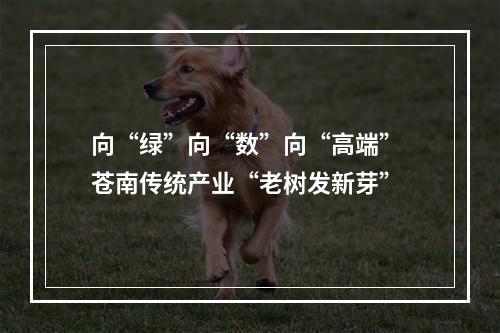 向“绿”向“数”向“高端” 苍南传统产业“老树发新芽”