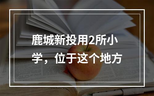 鹿城新投用2所小学，位于这个地方