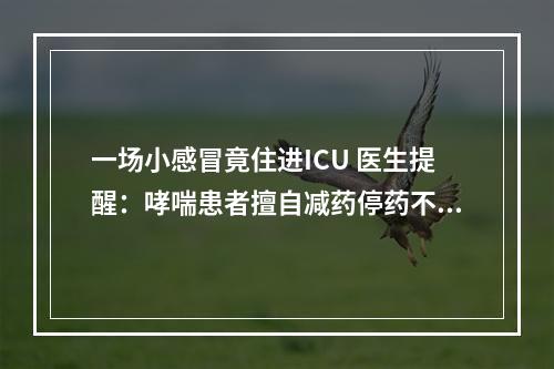 一场小感冒竟住进ICU 医生提醒：哮喘患者擅自减药停药不可取