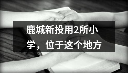 鹿城新投用2所小学，位于这个地方