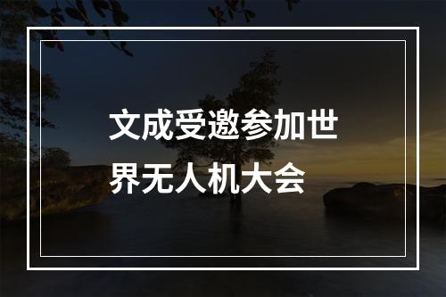 文成受邀参加世界无人机大会
