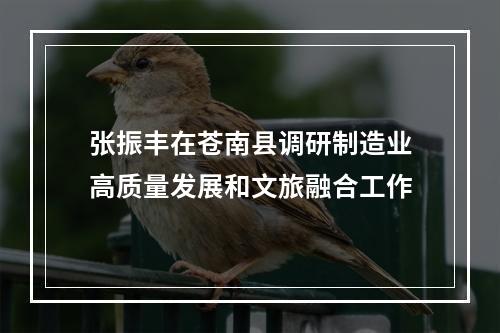 张振丰在苍南县调研制造业高质量发展和文旅融合工作