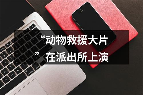 “动物救援大片”在派出所上演