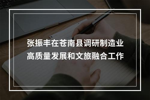 张振丰在苍南县调研制造业高质量发展和文旅融合工作