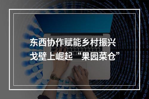 东西协作赋能乡村振兴 戈壁上崛起“果园菜仓”