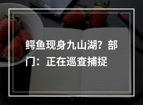 鳄鱼现身九山湖？部门：正在巡查捕捉