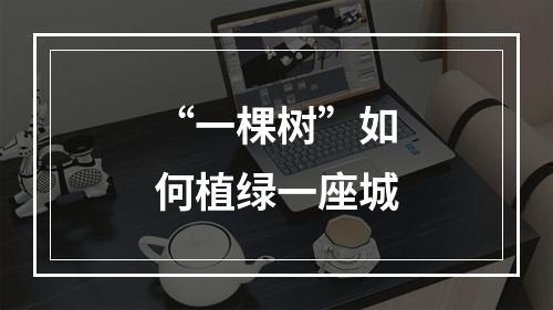 “一棵树”如何植绿一座城