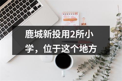 鹿城新投用2所小学，位于这个地方