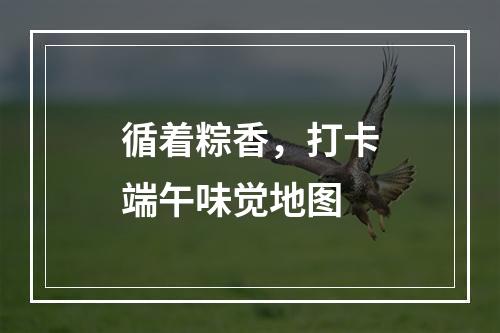 循着粽香，打卡端午味觉地图