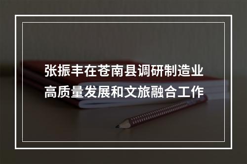 张振丰在苍南县调研制造业高质量发展和文旅融合工作