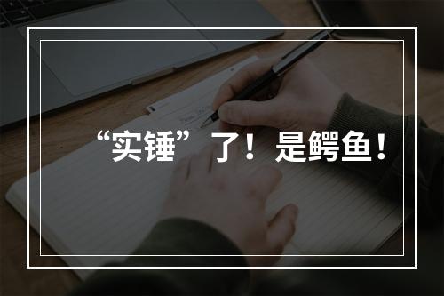 “实锤”了！是鳄鱼！