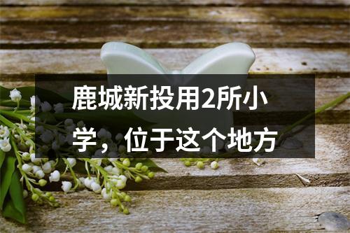 鹿城新投用2所小学，位于这个地方