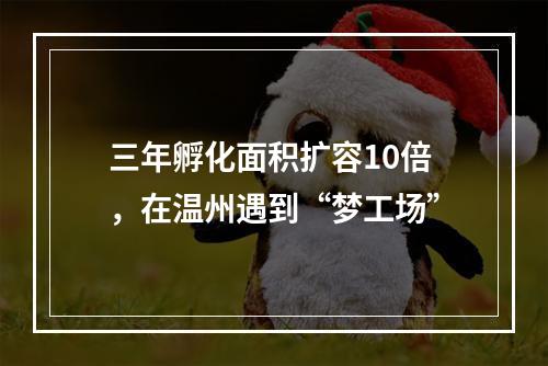 三年孵化面积扩容10倍，在温州遇到“梦工场”