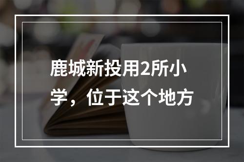 鹿城新投用2所小学，位于这个地方