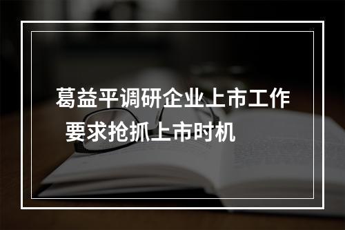 葛益平调研企业上市工作  要求抢抓上市时机