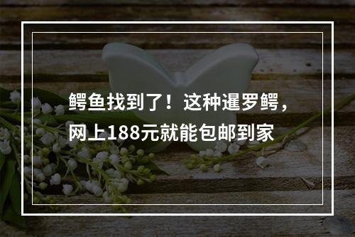 鳄鱼找到了！这种暹罗鳄，网上188元就能包邮到家