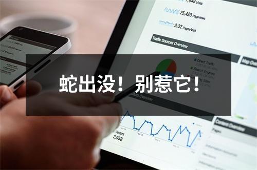 蛇出没！别惹它！