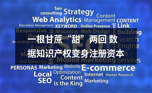 一根甘蔗“甜”两回 数据知识产权变身注册资本