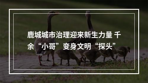 鹿城城市治理迎来新生力量 千余“小哥”变身文明“探头”