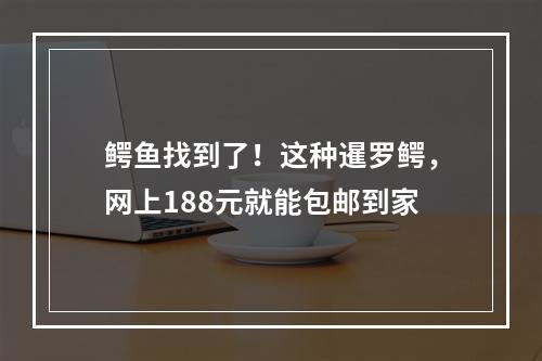 鳄鱼找到了！这种暹罗鳄，网上188元就能包邮到家