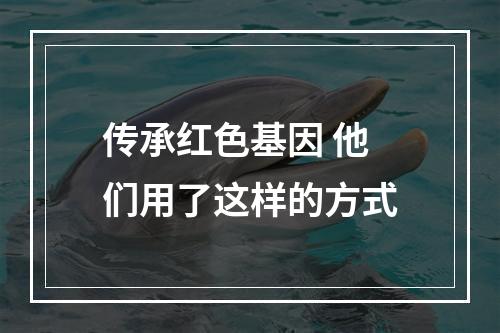 传承红色基因 他们用了这样的方式
