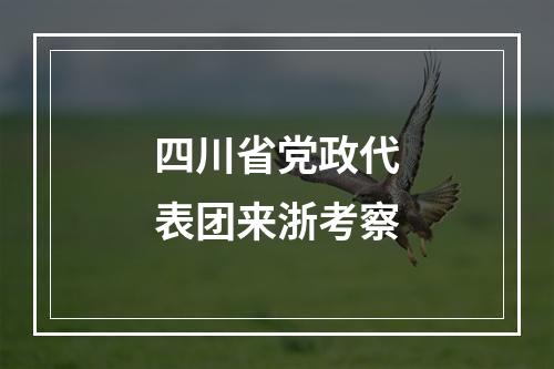 四川省党政代表团来浙考察