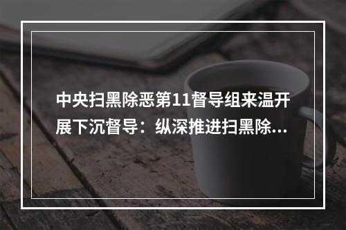 中央扫黑除恶第11督导组来温开展下沉督导：纵深推进扫黑除恶 坚决夺取更大胜利