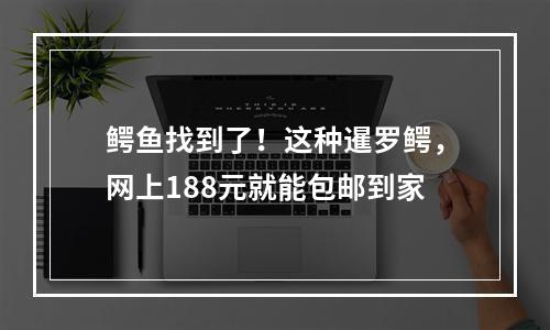 鳄鱼找到了！这种暹罗鳄，网上188元就能包邮到家