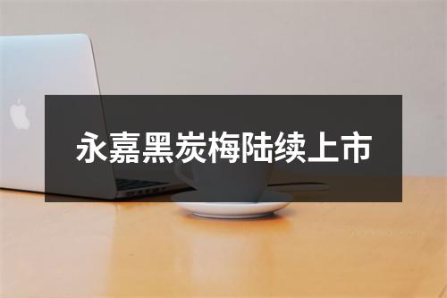 永嘉黑炭梅陆续上市