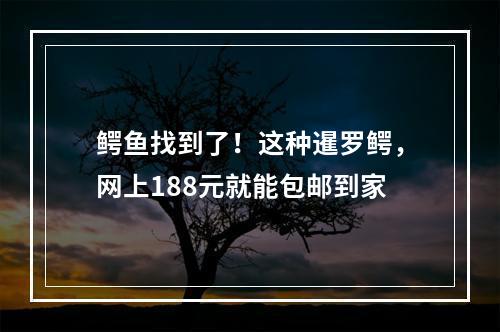 鳄鱼找到了！这种暹罗鳄，网上188元就能包邮到家