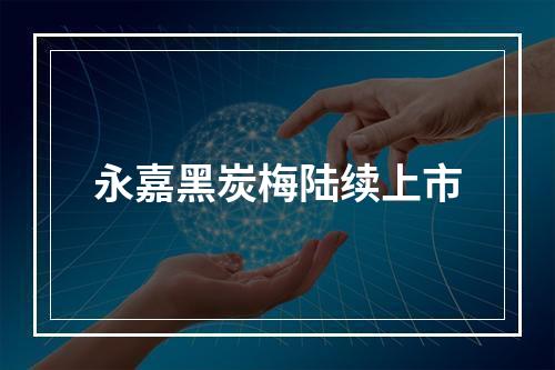 永嘉黑炭梅陆续上市