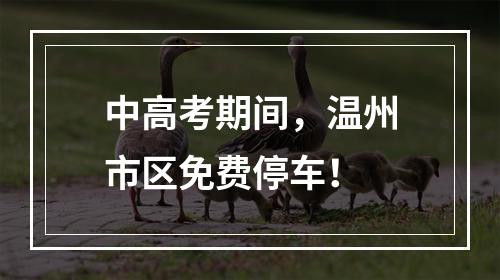 中高考期间，温州市区免费停车！