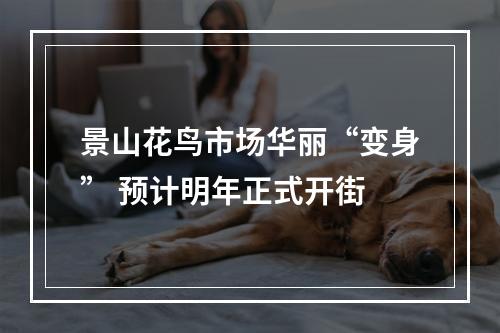 景山花鸟市场华丽“变身” 预计明年正式开街