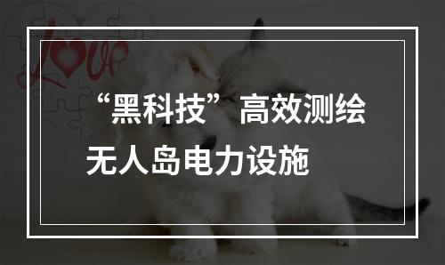 “黑科技”高效测绘 无人岛电力设施