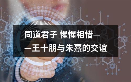 同道君子 惺惺相惜——王十朋与朱熹的交谊
