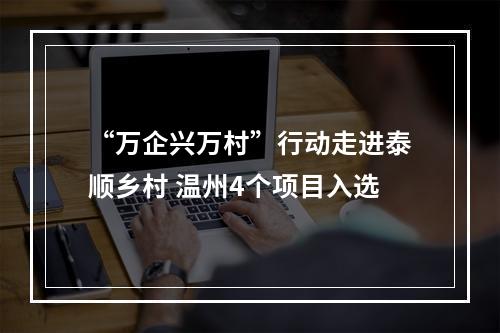 “万企兴万村”行动走进泰顺乡村 温州4个项目入选