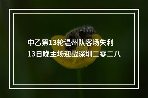 中乙第13轮温州队客场失利 13日晚主场迎战深圳二零二八