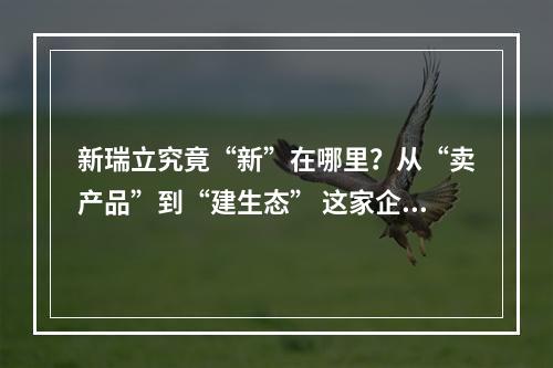 新瑞立究竟“新”在哪里？从“卖产品”到“建生态” 这家企业驶入汽车后市场赛道