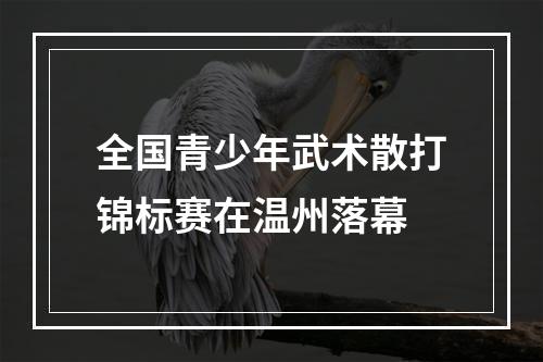 全国青少年武术散打锦标赛在温州落幕