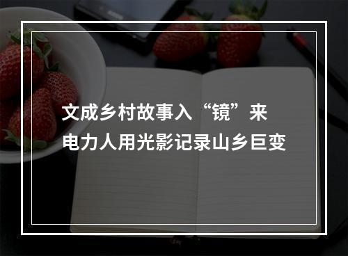 文成乡村故事入“镜”来 电力人用光影记录山乡巨变