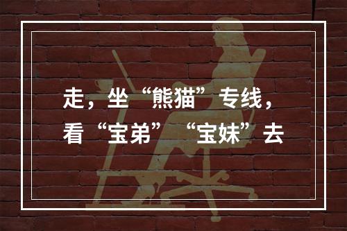 走，坐“熊猫”专线，看“宝弟”“宝妹”去